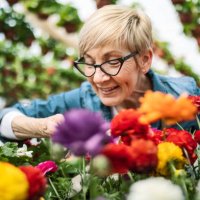 enjoying in flower scents - garden decoration stock pictures, royalty-free photos & images