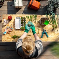 enjoying in gardening hobby - garden decoration stock pictures, royalty-free photos & images