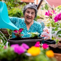 enjoying the moment - garden decoration stock pictures, royalty-free photos & images