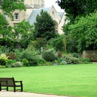 espace ouvert à oxford - garden decoration photos et images de collection