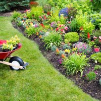 Essential Garden Care Tips for a Healthy and Beautiful Garden