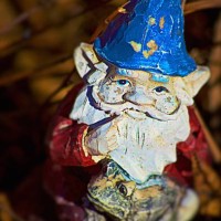 every garden needs a gnome - garden decoration stock pictures, royalty-free photos & images