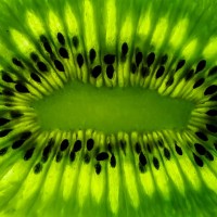 extreme close-up of a kiwi fruit - food stock pictures, royalty-free photos & images