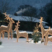 fabulous christmas - garden decoration stock pictures, royalty-free photos & images