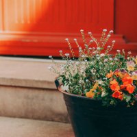 facade of a house with plants - garden decoration stock pictures, royalty-free photos & images