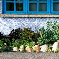 facade with blue patterned tiles and windows and a charming garden of succulents and other plants in front of it - garden decoration stock pictures, royalty-free photos & images