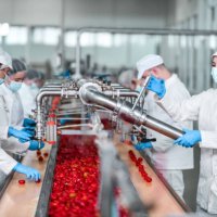 factory workers using machine to process peppers and fill them before jarring - food stock pictures, royalty-free photos & images