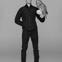 falconer with owl perched on his glove - fashion stock pictures, royalty-free photos & images