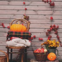 fall at country house. seasonal rustic decorations with cozy blankets, pumpkins, fresh apples and... - garden decoration stock pictures, royalty-free photos & images
