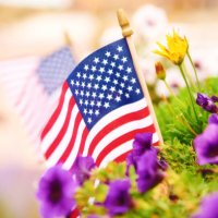fall background with american flags amongst vibrant petunias. space for text - garden decoration stock pictures, royalty-free photos & images