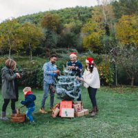family decorating christmas tree together in garden - garden decoration stockfoto's en -beelden
