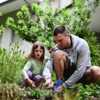 family gardening in a back yard. - home decoration stock pictures, royalty-free photos & images