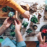 family making terrarium at home - garden decoration stock pictures, royalty-free photos & images