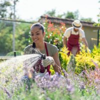 family planters working at the garden center - garden decoration stock pictures, royalty-free photos & images