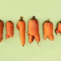 farm fresh ugly carrots bent and twisted - food stock pictures, royalty-free photos & images