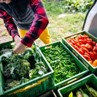 farmer organising van with organic vegetables - food stock pictures, royalty-free photos & images