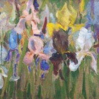 fashionable illustration modern art work my original oil painting on canvas impressionism horizontal landscape sunlit spring flowers irises white pink purple yellow blooming on a green flowerbed - garden decoration stock ill