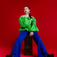 fashionable woman - fashion photos et images de collection