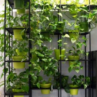 faucet with water surrounded by green potted flowers. eco friendly concept. living water. plants in the interior. - garden decoration stock pictures, royalty-free photos & images