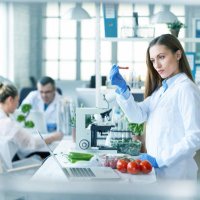 female biologist analyzing tomatoes in laboratory - food stock pictures, royalty-free photos & images