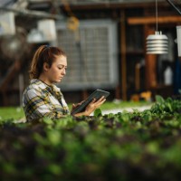 female farm worker using digital tablet in greenhouse - food stock pictures, royalty-free photos & images