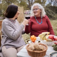 female friends clinking wine glasses at garden table - garden decoration photos et images de collection