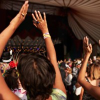 female friends dancing with arms raised at concert - concert stock pictures, royalty-free photos & images