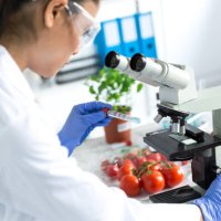 female microbiologist using microscope in laboratoty - food stock pictures, royalty-free photos & images