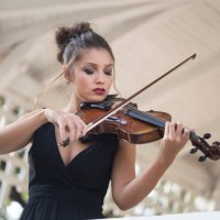 female violinist - concert stock pictures, royalty-free photos & images