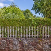 fence and hedge - garden decoration stock pictures, royalty-free photos & images