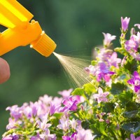 fertilizer - garden decoration stock pictures, royalty-free photos & images