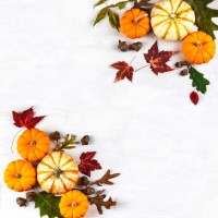 festive autumn decor with pumpkins and leaves on white wooden background. - garden decoration stock pictures, royalty-free photos & images
