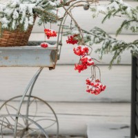 festive christmas decorations in the courtyard of the house on a snowy winter day - garden decoration stock pictures, royalty-free photos & images