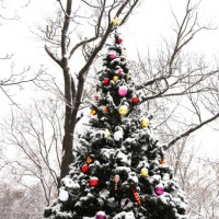 festive decorated christmas tree on blurred forest background - garden decoration stock pictures, royalty-free photos & images