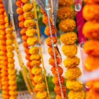 festive decorations. - home decoration stock pictures, royalty-free photos & images