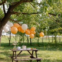festive table and decoration in nature - garden decoration stock-fotos und bilder