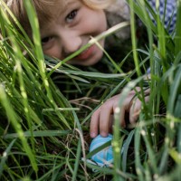 finding an easter egg - garden decoration stockfoto's en -beelden