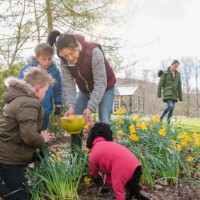 finding the easter eggs - garden decoration stock pictures, royalty-free photos & images