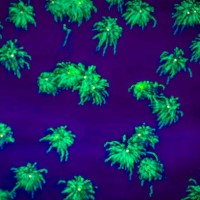 fire flys - garden decoration stock pictures, royalty-free photos & images