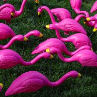 flock of pink plastic flamingos - garden decoration stock pictures, royalty-free photos & images