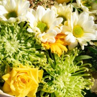 floral arrangement with daisies, chrysanthemums and roses. beautiful bouquet. flower delivery. florist. present. surprise. holiday. - garden decoration stock pictures, royalty-free photos & images