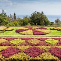 floral beds in botanical garden of funchal - garden decoration stock pictures, royalty-free photos & images