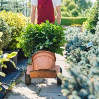 florist working in the garden center - garden decoration stock pictures, royalty-free photos & images