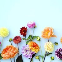 flower arrangement - garden decoration stock pictures, royalty-free photos & images