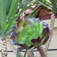 flower macro - garden decoration stock-fotos und bilder