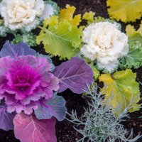 flower pot - garden decoration stock pictures, royalty-free photos & images