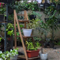 flower pots with decorative plants for sale. - garden decoration stock pictures, royalty-free photos & images