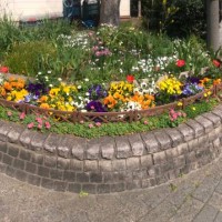 flowerbed in spring - garden decoration stock pictures, royalty-free photos & images