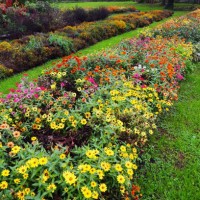flowered border in autumn colors - garden decoration stock pictures, royalty-free photos & images