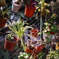 flowerpots hanging on fence in urban garden - garden decoration stock pictures, royalty-free photos & images